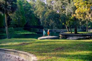 Kelly Park and Rock Springs: Terrific Tubing and Carefree Camping for the Whole Family