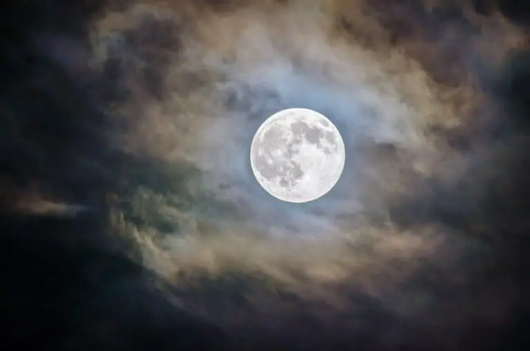 Howl-O-Scream at Busch Gardens Tampa Bay 2023: Experience Another Startling Year of Fear!