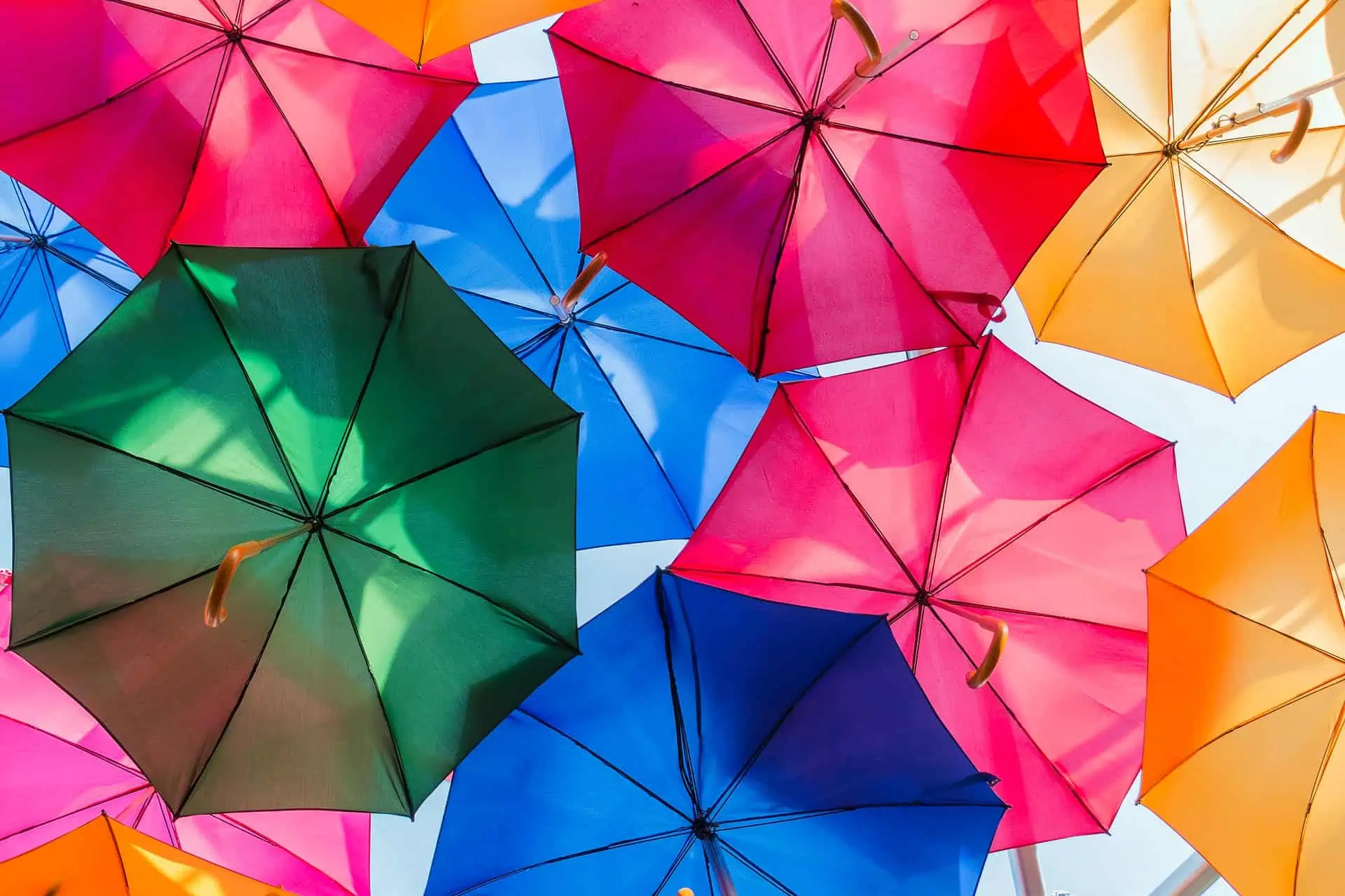 10 Disney World Rainy Day Activities